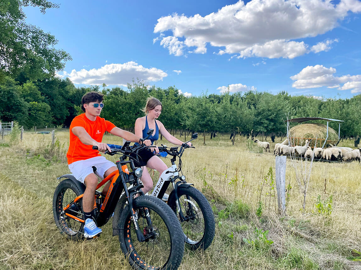 Randonnée en FAT BIKE Électrique près de Fontainebleau
